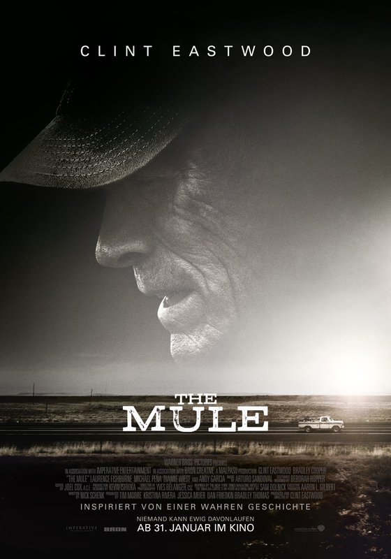 The mule.jpg
