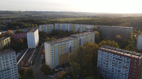 50jahreplatte